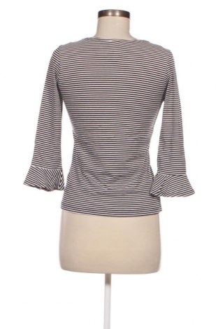 Γυναικεία μπλούζα Zebra, Μέγεθος M, Χρώμα Πολύχρωμο, Τιμή 1,76 €