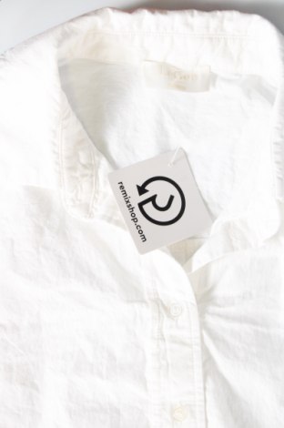 Γυναικείο πουκάμισο Guido Maria Kretschmer for About You, Μέγεθος M, Χρώμα Λευκό, Τιμή 37,11 €