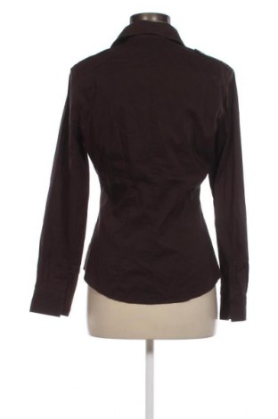 Dámska košeľa  New York & Company, Veľkosť M, Farba Hnedá, Cena  39,55 €