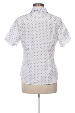 Γυναικείο πουκάμισο Peter Hahn, Μέγεθος M, Χρώμα Πολύχρωμο, Τιμή 12,62 €