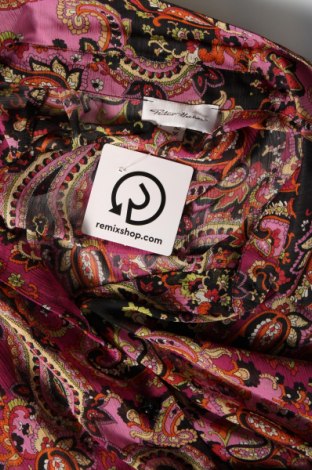 Γυναικείο πουκάμισο Peter Hahn, Μέγεθος XXL, Χρώμα Πολύχρωμο, Τιμή 19,77 €