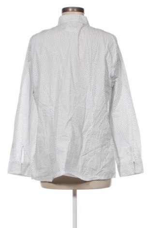 Γυναικείο πουκάμισο Peter Hahn, Μέγεθος XL, Χρώμα Λευκό, Τιμή 12,62 €