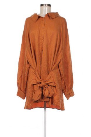 Γυναικείο πουκάμισο TEREA, Μέγεθος 5XL, Χρώμα  Μπέζ, Τιμή 31,54 €