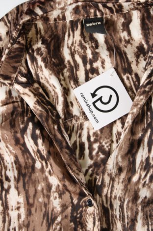 Γυναικείο πουκάμισο Zebra, Μέγεθος S, Χρώμα Καφέ, Τιμή 3,25 €