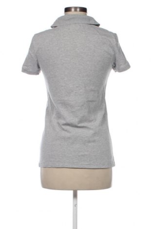 Damen T-Shirt Aeropostale, Größe L, Farbe Grau, Preis € 9,67