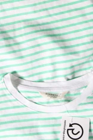 Damen T-Shirt Essentials by Tchibo, Größe XL, Farbe Grün, Preis 9,05 €