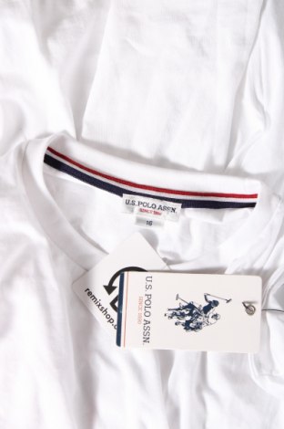 Damen T-Shirt U.S. Polo Assn., Größe XL, Farbe Weiß, Preis € 29,90