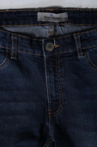 Dámske džínsy  Blue Motion, Veľkosť M, Farba Modrá, Cena  3,95 €