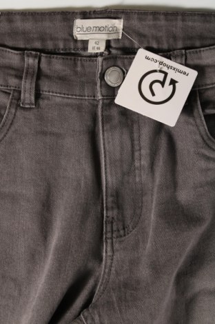 Damen Jeans Blue Motion, Größe L, Farbe Grau, Preis 5,85 €
