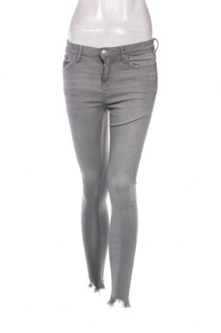 Damen Jeans Denim Co., Größe S, Farbe Grau, Preis 6,26 €