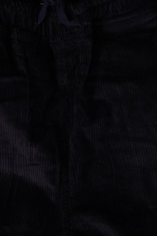 Pantaloni de velvet de femei, Mărime XL, Culoare Albastru, Preț 95,39 Lei