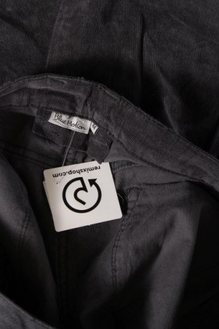 Дамски джинси Blue Motion, Размер XL, Цвят Сив, Цена 11,31 лв.