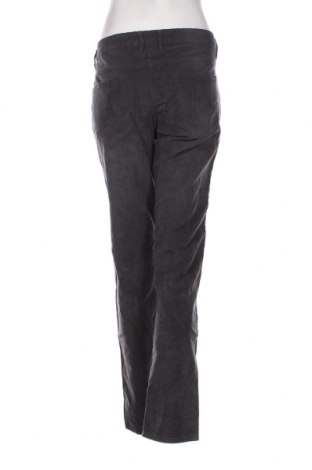 Pantaloni de velvet de femei Blue Motion, Mărime XL, Culoare Gri, Preț 24,80 Lei
