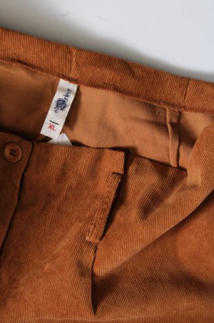 Pantaloni de velvet de femei Driver, Mărime XL, Culoare Bej, Preț 27,66 Lei