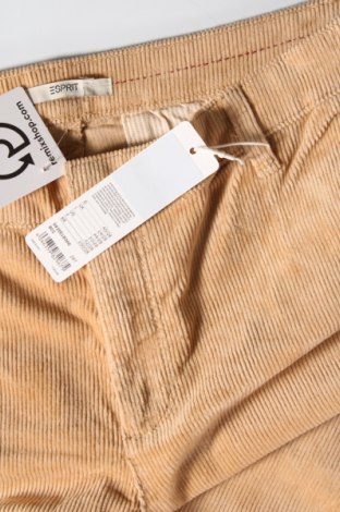Pantaloni de velvet de femei Esprit, Mărime M, Culoare Bej, Preț 28,62 Lei