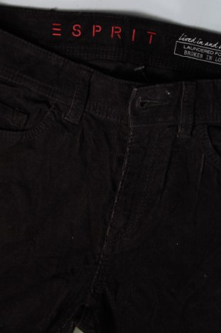 Pantaloni de velvet de femei Esprit, Mărime S, Culoare Maro, Preț 95,39 Lei