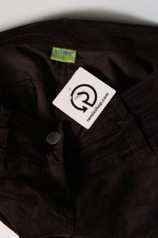 Дамски джинси Refree, Размер M, Цвят Кафяв, Цена 10,15 лв.