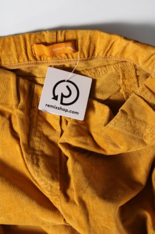 Pantaloni de velvet de femei Stehmann, Mărime S, Culoare Galben, Preț 26,71 Lei