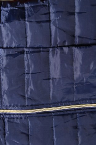 Γυναικείο γιλέκο, Μέγεθος L, Χρώμα Μπλέ, Τιμή 4,52 €
