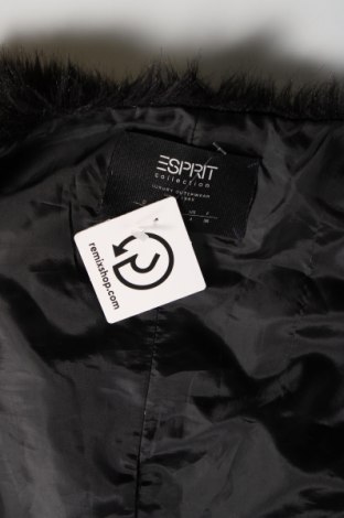 Damenweste Esprit, Größe XS, Farbe Schwarz, Preis € 11,90