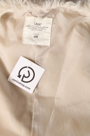 Γυναικείο γιλέκο H&M, Μέγεθος S, Χρώμα Εκρού, Τιμή 9,50 €