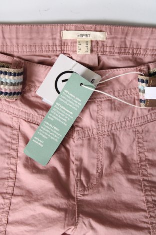 Damen Shorts Esprit, Größe M, Farbe Rosa, Preis 37,11 €