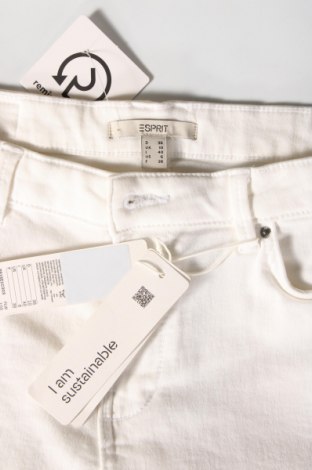 Damen Shorts Esprit, Größe S, Farbe Weiß, Preis € 37,11