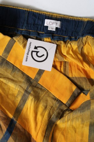 Γυναικείο κοντό παντελόνι Loft, Μέγεθος M, Χρώμα Πολύχρωμο, Τιμή 21,03 €