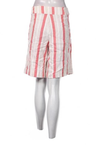 Γυναικείο κοντό παντελόνι Xandres, Μέγεθος XXL, Χρώμα Πολύχρωμο, Τιμή 15,46 €