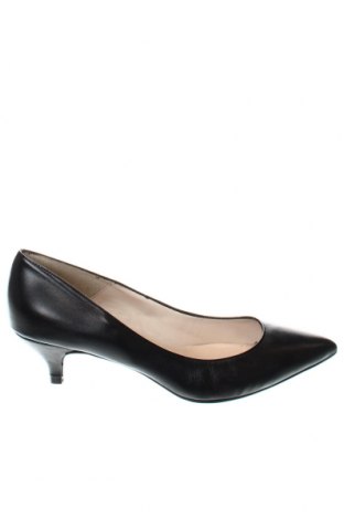Γυναικεία παπούτσια Elodie, Μέγεθος 41, Χρώμα Μαύρο, Τιμή 68,04 €