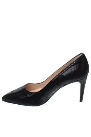Γυναικεία παπούτσια Elodie, Μέγεθος 38, Χρώμα Μαύρο, Τιμή 68,04 €