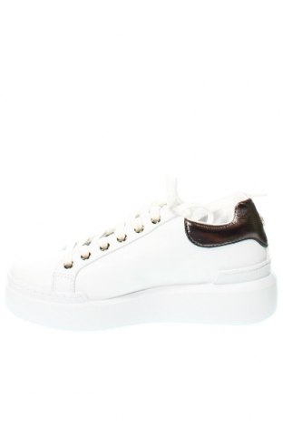 Γυναικεία παπούτσια Pollini, Μέγεθος 37, Χρώμα Λευκό, Τιμή 126,80 €