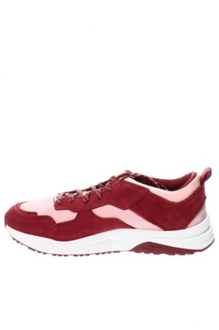 Dámske topánky  Timberland, Veľkosť 39, Farba Viacfarebná, Cena  119,59 €