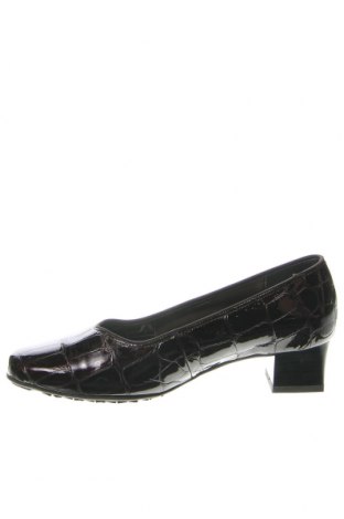Дамски обувки Va Milano, Размер 36, Цвят Кафяв, Цена 31,36 лв.