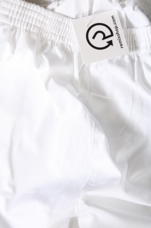 Damenhose, Größe XL, Farbe Weiß, Preis 23,71 €