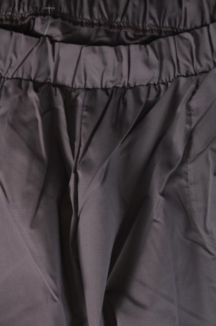Γυναικείο παντελόνι, Μέγεθος L, Χρώμα Γκρί, Τιμή 3,56 €