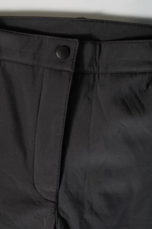 Damenhose, Größe L, Farbe Grau, Preis € 4,07