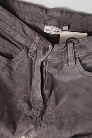 Dámske nohavice Blue Motion, Veľkosť M, Farba Sivá, Cena  1,64 €