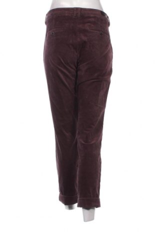 Γυναικείο παντελόνι Brax, Μέγεθος M, Χρώμα Βιολετί, Τιμή 5,46 €
