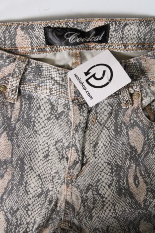 Dámské kalhoty  CoolCat, Velikost M, Barva Vícebarevné, Cena  226,00 Kč