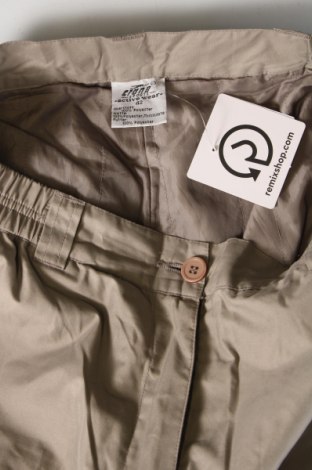 Γυναίκειο παντελόνι για χειμερινά σπορ Crane, Μέγεθος L, Χρώμα  Μπέζ, Τιμή 23,20 €