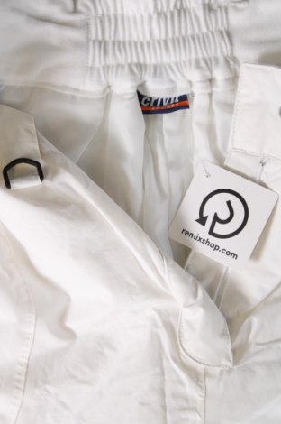 Дамски панталон за зимни спортове Crivit, Размер M, Цвят Бял, Цена 18,75 лв.