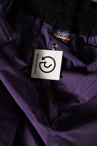Дамски панталон за зимни спортове Crivit, Размер M, Цвят Лилав, Цена 37,50 лв.