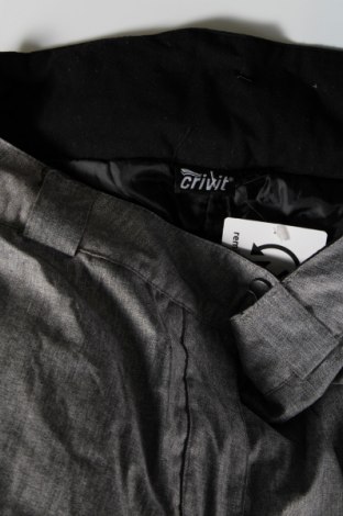 Дамски панталон за зимни спортове Crivit, Размер L, Цвят Сив, Цена 30,75 лв.