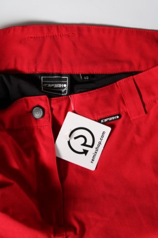 Γυναίκειο παντελόνι για χειμερινά σπορ Icepeak, Μέγεθος M, Χρώμα Κόκκινο, Τιμή 36,65 €