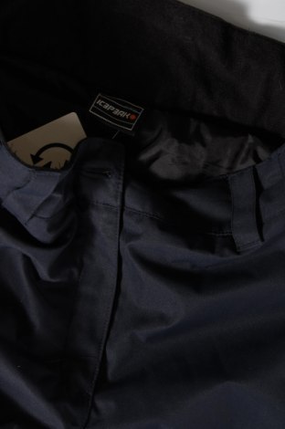 Дамски панталон за зимни спортове Icepeak, Размер M, Цвят Син, Цена 60,75 лв.
