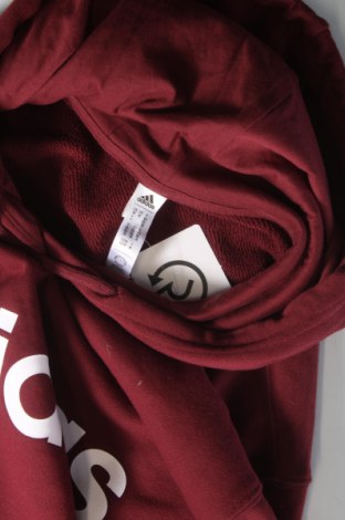 Damen Sweatshirt Adidas, Größe XS, Farbe Rot, Preis 29,97 €