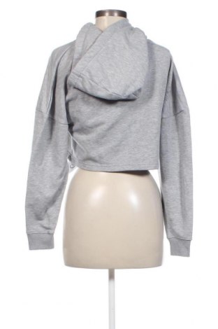 Damen Sweatshirt Alpha Industries, Größe XS, Farbe Grau, Preis 23,66 €