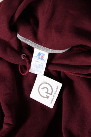 Damen Sweatshirt Russell, Größe S, Farbe Rot, Preis 10,32 €