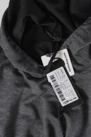 Damen Sweatshirt Trendyol, Größe L, Farbe Grau, Preis € 12,46
